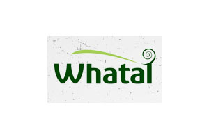 华泰/Whatai