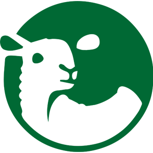 鲜羊官