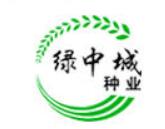 绿中城