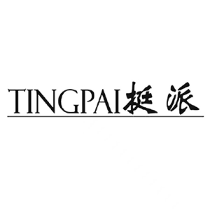 挺派/TINGPAI