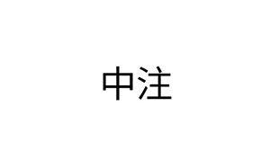 中注