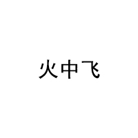火中飞
