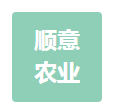 橘香情深