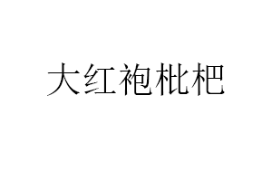大红袍枇杷