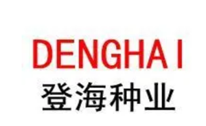 登海种业
