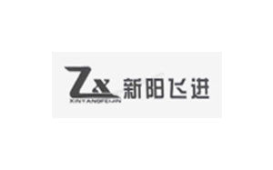 新阳飞进