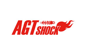 AGT Shocks