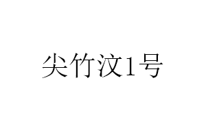 尖竹汶1号