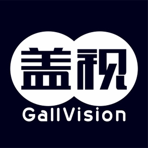 盖视/GALLVISION