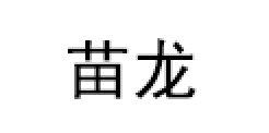 苗龙