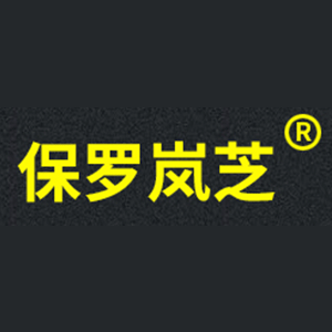 保罗岚芝
