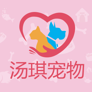 汤琪/TANGQI