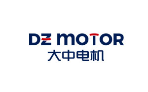 大中/DZ