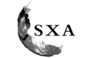SXA