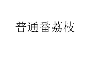 普通番荔枝