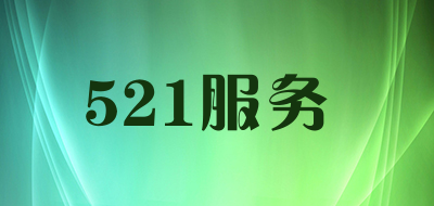 521服务