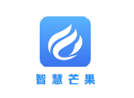 智慧芒财税