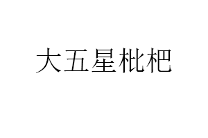 大五星枇杷