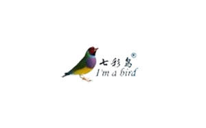 七彩鸟