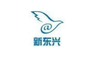 新东兴