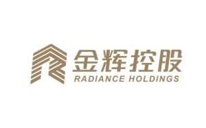 金辉控股/radiance