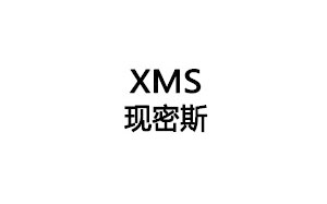 现密斯
