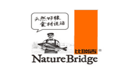 比瑞吉/BRIDGE