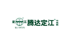 腾达定江