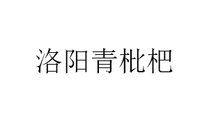 洛阳青枇杷