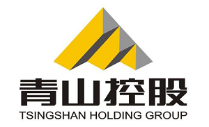 青山控股/TSINGSHAN HOLDING GROUP