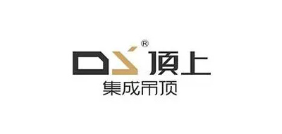 顶上/DS