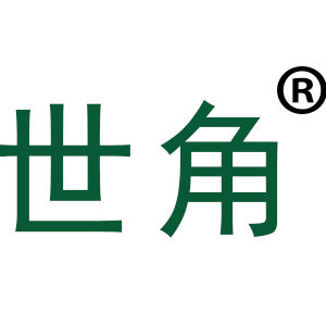 世角