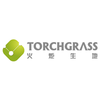 火炬生地