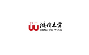 鸿伟