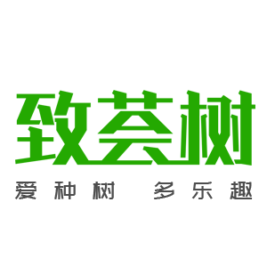 致荟树
