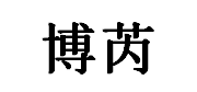 博芮/BORUI