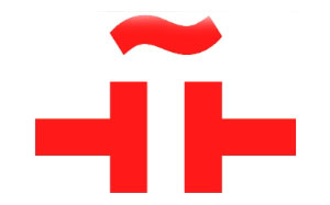 塞万提斯学院/Instituto Cervantes