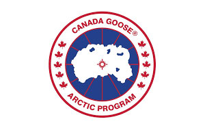 加拿大鹅/Canada Goose