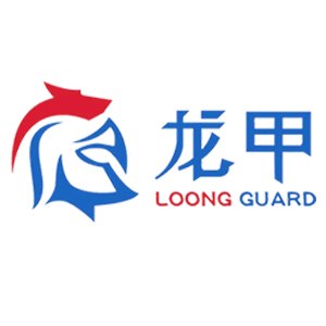 龙甲