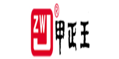 甲正王