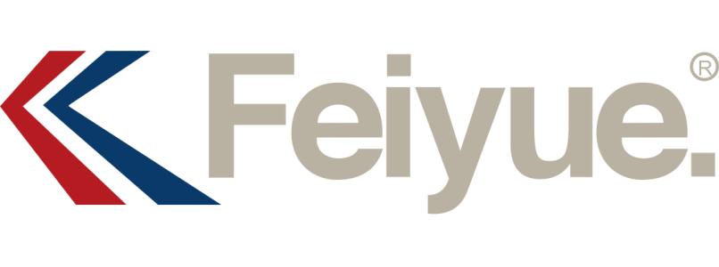 飞跃/Feiyue