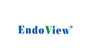 EndoView