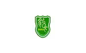 豹卡车品